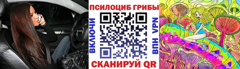 Галлюциногенные грибы GOLDEN TEACHER  Шатура 