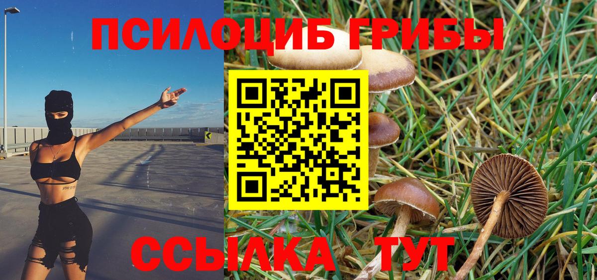 Галлюциногенные грибы MAGIC MUSHROOMS  Шатура 