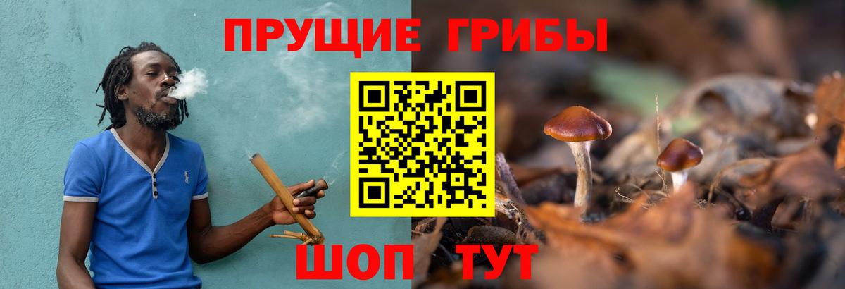 Галлюциногенные грибы мухоморы  хочу   Шатура  Вход с VPN 